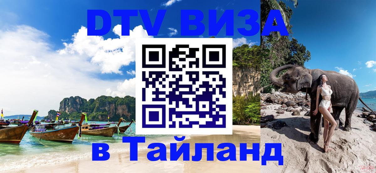 Оформление DTV визы под ключ: стоимость и тарифы, только загранпаспорт - 18.11.2025 